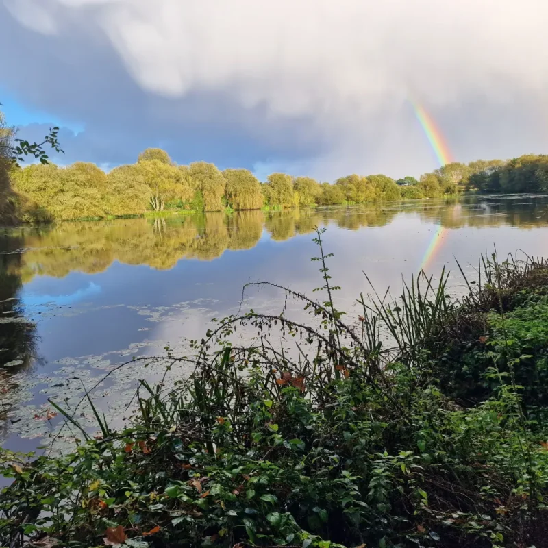 Willow Lake 24 Hour Members Day Ticket
