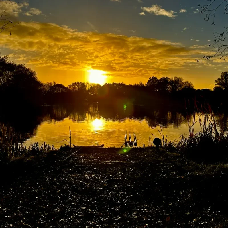 Willow Lake 24 Hour Guest Ticket