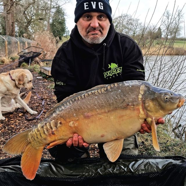 Christian off to a flyer on the estate lake with a 20 lb and a 16 lb mirror 👍😎🥳 hard fishing with weather so a great start to his break 👍😎 #arrowmeadowfishery #el