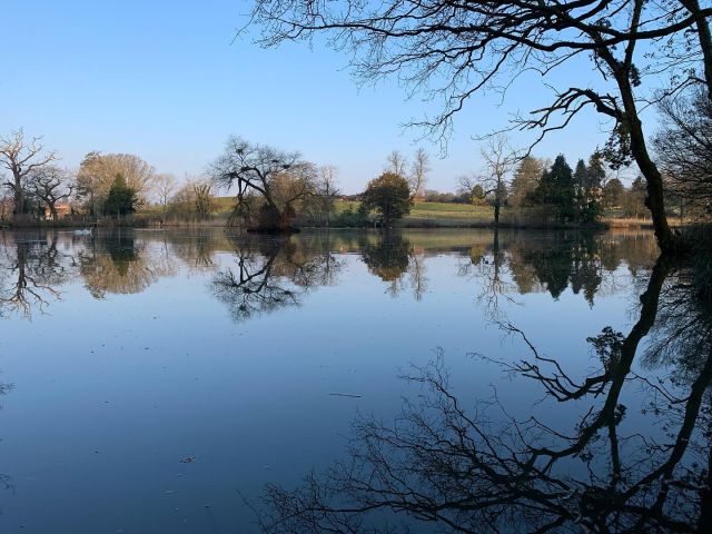 The Estate Lake this morning , looks amazing even at this time of year 😍😍 we only have a few bookings still  available for 2022 , so if you fancy having this incredible lake to yourself with 150 plus carp from 10 lb to 30 lb then please visit our website https://www.arrowmeadowfishery.com/ #arrowmeadowfishery #exclusivehirefishery #privatehirefishery #carpfishing #carpfishing #el #midlandscarp #stunninglake