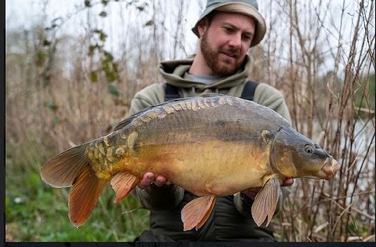 Thanks Toby for pics sent over from a recent trip to the estate lake 👍😎#arrowmeadowfishery #el