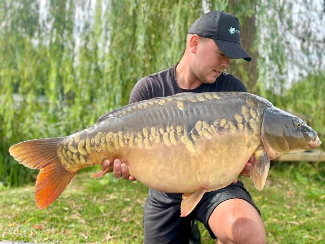 Ched Hollis with a new lake record on Arrow meadow pools ! Betty @ 36.08 lb 💥💥 #amp #arrowmeadowfishery #lakerecord #pbcarp #fishing #carpfishing #bigcarp #greattimes #happydays
