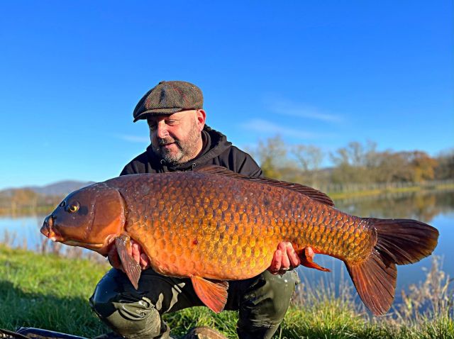 Tango at 34lb stocked recently into Malvern view which is on the super ticket syndicate opening this April , 8 lakes 5 locations all on one ticket 🎫 👍😎 #syndicate #arrowmeadowfishery #carpfishing #fishing #midlandscarpfishing #fishing #enjoyfishing #mv