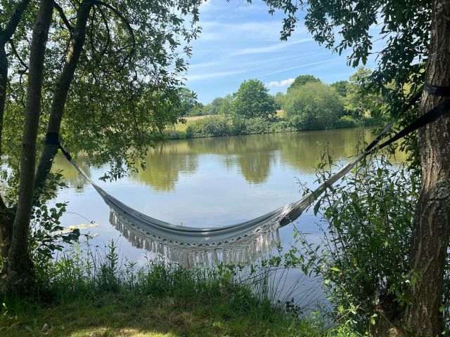 The “Lake With no name” is live on the website for limited bookings next year !!! This one’s a bit special and a little quirky 😜🥳❤️
Exclusive Hire Carp Fishery Sussex. #lwn