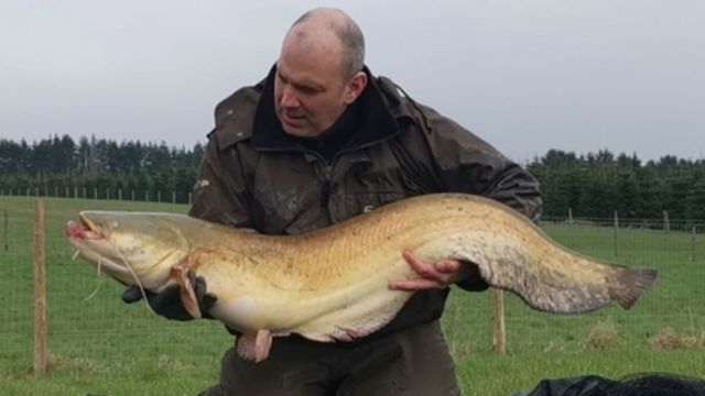 Rosie’s Retreat
#rr