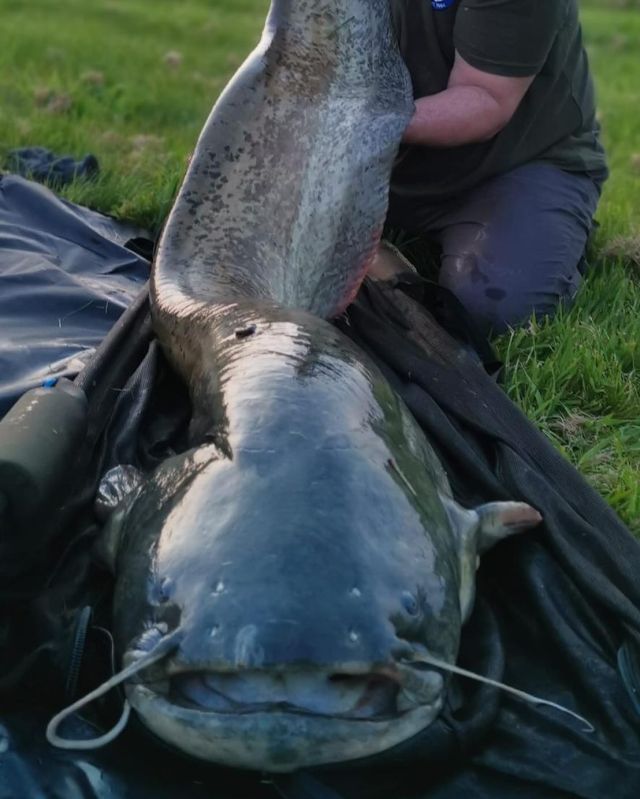 Rosie’s retreat 😎#rr