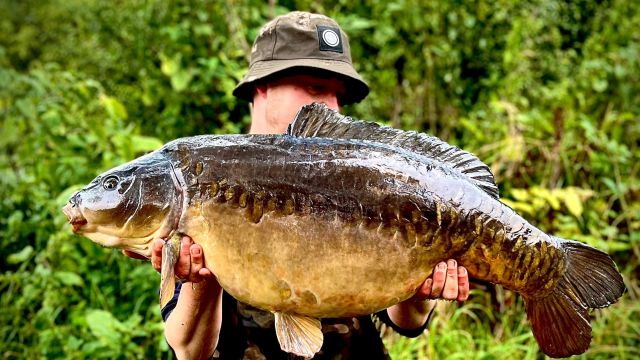 Joe Nicholson
Barry @ 32lb
Willow Lake

#wl #30