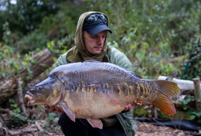 Adam 
30lb 6oz 
Willow 
#30 #wl #syndicate #arrowmeadowfishery