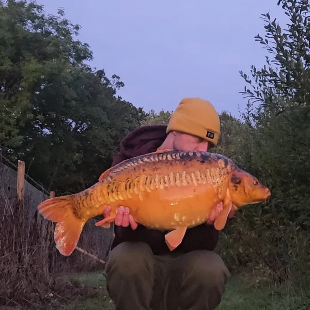 Nathan over Saltby with Noah 😎 #saltby #syndicate