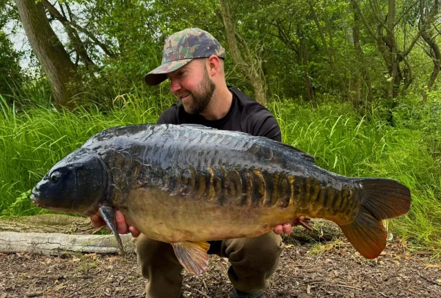 @craig_carpfishing with another special one ! 😍😎 #30 #arrowmeadowfishery #carpfishing #midlandscarp #wl #oldcarp #carpscene #syndicate
