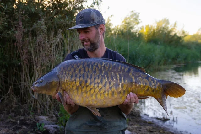 @fred_jewsbury_golf 24 hours on Arrow Pit over the weekend and managed 13 bites ! some mega carp!😎🏴🇬🇧
#wellchill #syndicate #arrowmeadowfishery #ap #midlandscarpscene