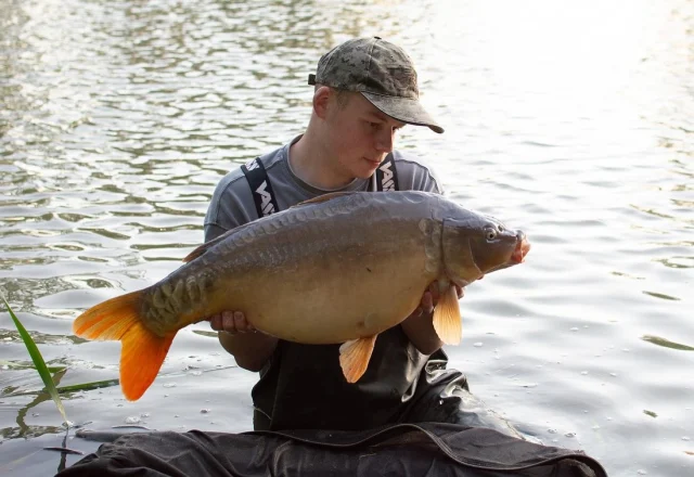 @baileycarpfishing landed 11 carp at the Estate lake recenlty 😎 

Green dates are available 👌link below : 

https://www.arrowmeadowfishery.com/product/estate-lake-hire/

The Estate Lake - Solihull
2.5 acre set in a stunning private, wooded location
Located in Knowle, Solihull, West Midlands
-Up to 4 anglers permitted on your booking
-Shower block, flush toilet & fresh drinking water
-Power sockets
-Fully fenced and secure
In-door seating area with log burner
-160 specimen carp
-Average carp 19lb to 24lb
-Many other species – additional flout rod per angler is permitted
-Dog friendly
-CCTV to car park
-Bait on site
-Bookings from 24 hours to 7 days available
#el #arrowmeadowfishery #carpfishing #lakeexclusive #privatehirefishery #midlandscarpscene