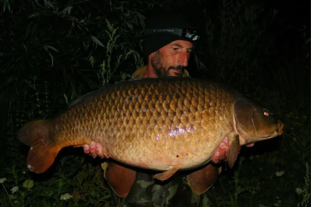 @adamcarper81 with "tooth" at 32lb 10oz 🏴🇬🇧😎 #englishcarp #nowrongenshere #midlandscarp #30 #ap #syndicate #topangler #banklife #carplife