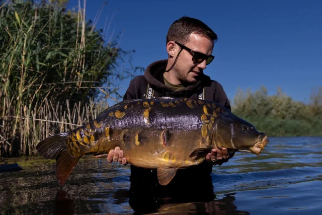 @jamie__brookes with Tri scale at 31.8lb 🏴🇬🇧😎#30 #ap #syndicate #arrowmeadowfishery #midlandscarp #propercarpfishing #nowrongenshere #carplife #englishcarp #gravelpitcarp