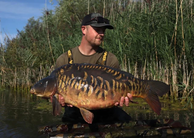 Harrison back : Just as you think your arrow pit session can’t get any better you get blessed with another 🏴 stunner. 32lb mirror called “Ronnie”. Thanks Fred Jewsbury for coming back out to take some stunning pictures #ap #syndicate #properpics #truecarpfishing #greatlads #carpfishing #midlandscarpfishing #wellchill #englishcarp #ukcarpfishing #30 #gravelpitcarping