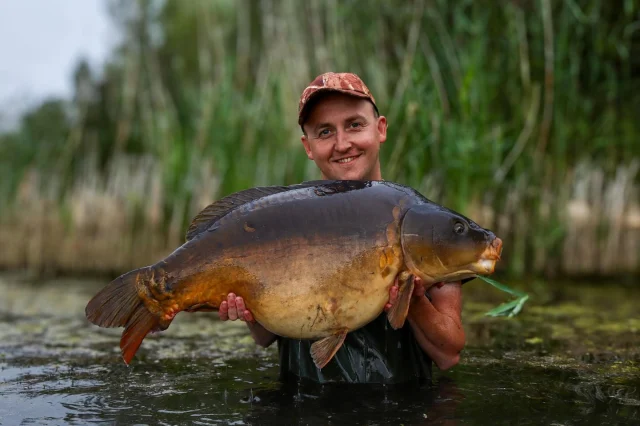 @smilerbluenose with a nice one 🏴❤️ #arrowmeadowfishery #syndicate #ap #midlandscarpscene #nosquats #nowrongenshere #truecarpfishing #chillcarp #lowpresure #keepitreal #ukcarp #weedylake #gravelpitcarp #natrualgrowth #wildlakes #threeriversrolling @glynnthreerivers