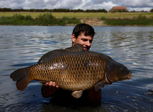 Tom Shaw Kelsey’s Common at 31lb. Big thanks to Fred for coming to do the photos #30 #arrowmeadowfishery #syndicate #ap #midlandscarpscene #nosquats #nowrongenshere #truecarpfishing #chillcarp #lowpresure #keepitreal #ukcarp #weedylake #gravelpitcarp #natrualgrowth #wildlakes