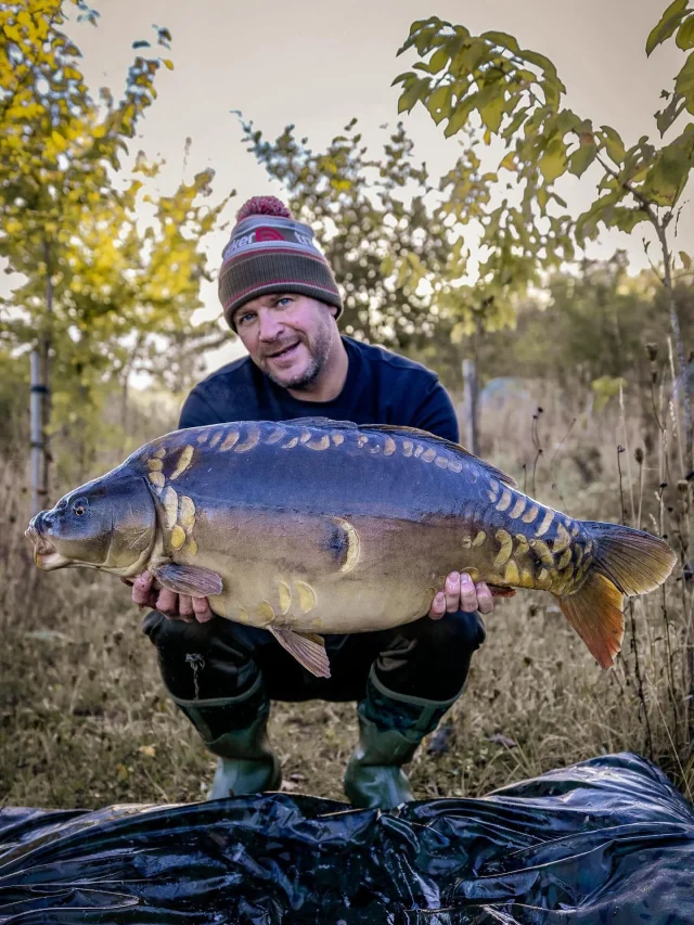 @jonnyrobins_uk with a Arrow pit mirror 34lb 7oz #30 #syndicate #ap #arrowmeadowfishery #midlandscarpfishing #wellchill #wildlakes #keepitreelfishing