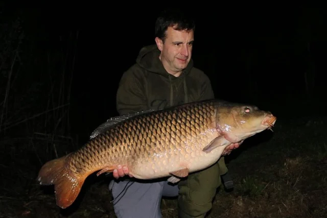 Simon wise landed this incredible carp (The Roadie common) over Arrow pit @36lb #30 #ap #syndicate #oldskoolcarp #wellchill