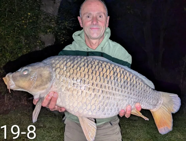 Ian Tinsley fished 48 hours on Canaan pool. Took a mate who's just getting back into angling. Float fished during the days and caught loads of small stuff. My mate had a lovely scaly 16lb carp on float fished meat.I put the carp rods out at night and caught 5 cracking doubles to 19lb. Really hard fighting fish, (see pics), on my favourite Carp Company Ice Reds, over house pellet and corn. Great little fishery, nice and quiet with some nice fish to catch. Well worth a booking, I'll definitely be back. #cf