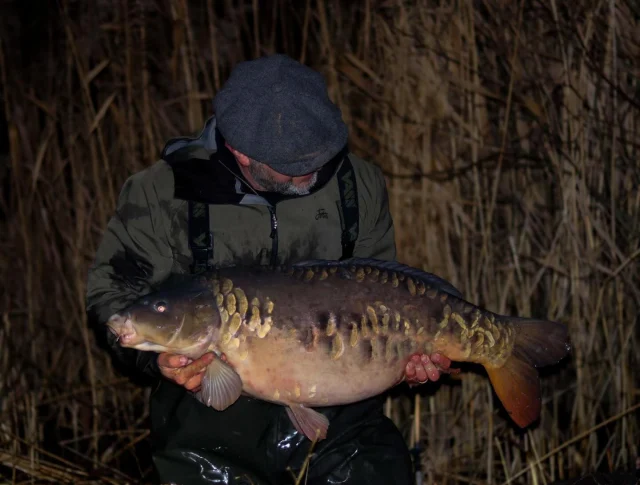 The Gaffer landed Petals yesterday at 35lb over Broom big pit 💥 #30 #syndicate #carpsyndicate #midlandscarpscene