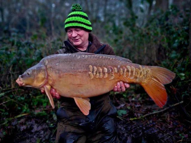Great times had over the Estate lake by all and loads of carp landed 😎! #el #exclusivehirefishery #lakeexclusive #arrowmeadowfishery #nopumpedupcarphere