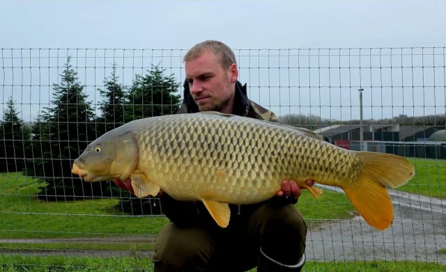@lambournerich with Nugget the long common 😎 #ls #arrowmeadowfishery #syndicate #midlandscarpscene #nopumpedupcarphere