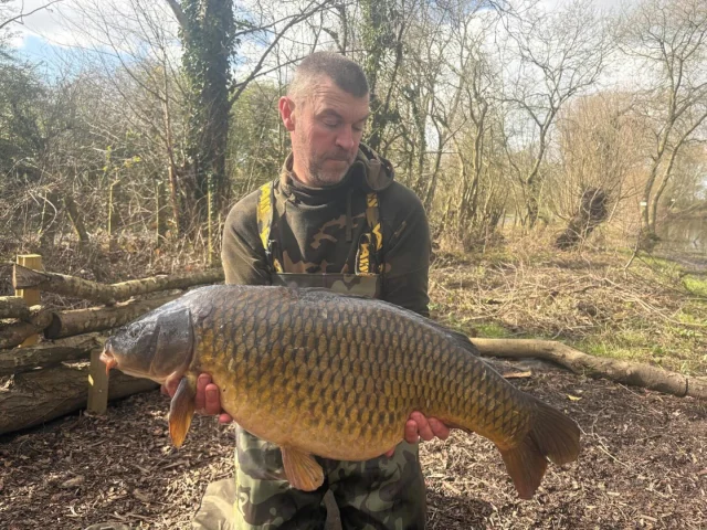 Neil with a willow common at 32.4 #wl #arrowmeadowfishery #carpfishing #syndicate