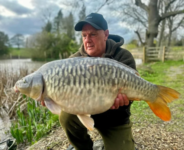 The Estate lake : 
Some of the carp landed by Kenneth Higgott and Andy Orme 😎 #exclusivehirefishery #el #arrowmeadowfishery #privatehirefishery