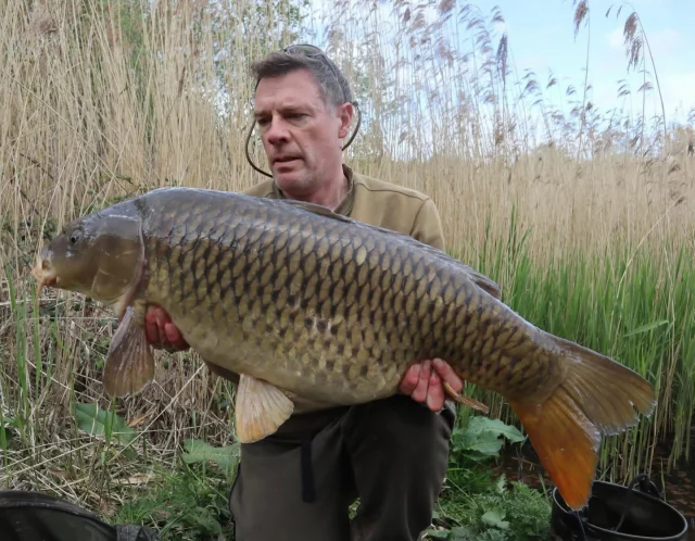 Lovely weekend on Broom for Simon 😎Mirror was 30.15 and commons 34.08, 26.04 and 22.04 💥#bp #syndicate #30 #arrowmeadowfishery