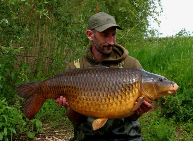 @adamcarper81 tri scale at 35lb 4oz , 30lb 2oz common , 22lb 6oz scaley mirror , 20lb 4oz mirror , 20lb 2oz mirror and a 11lb mirror #30 #ap #syndicate #arrowmeadowfishery