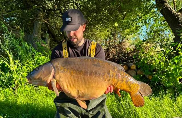 31lb 4oz of Willow Whacker to Brandon #wl #sydicate #carpfishing #30