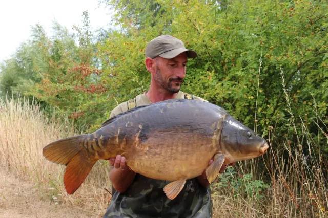 Adam Cooke - 6 fish 48 hours ! 31lb 6oz mirror , 30lb 8oz mirror , 30lb 4oz mirror , 24lb 6oz mirror , 20lb 10oz mirror and a 15lb common. Piss take ! 😂 #ap #syndicate #30 #arrowmeadowfishery #midlandscarpscene