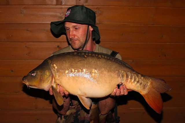 Lads over the Estate lake landed 20 carp ! #el #exclusivehirefishery #lakeexclusive #midlandscarpfishing #arrowmeadowfishery 

https://www.arrowmeadowfishery.com/product/estate-lake-hire/