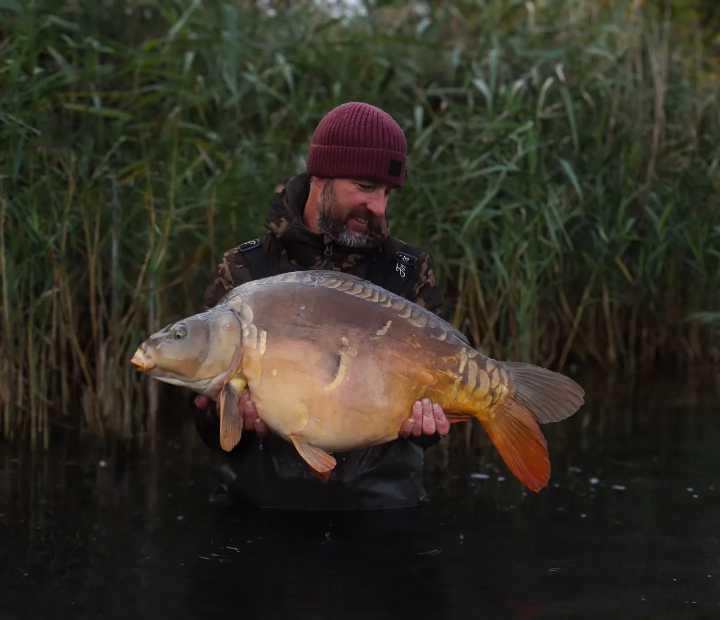 New Arrow pit 30 ! @fred_jewsbury_golf named Chang’e 😎 on fire is our Fred ❤️ #ap #30 #arrowmeadowfishery #syndicate #midlandscarpscene